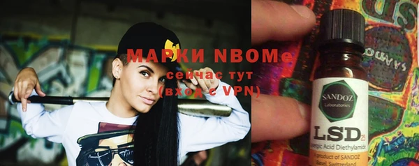 прущие грибы Бронницы