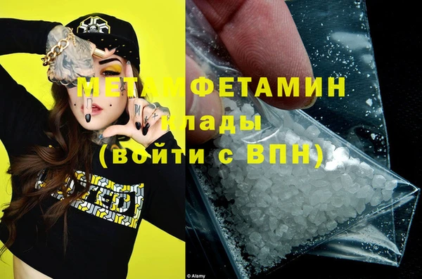 прущие грибы Бронницы