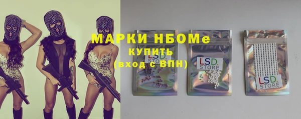прущие грибы Бронницы
