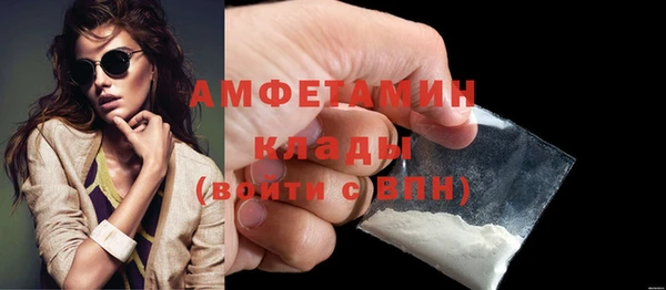 прущие грибы Бронницы