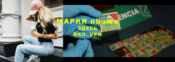 прущие грибы Бронницы