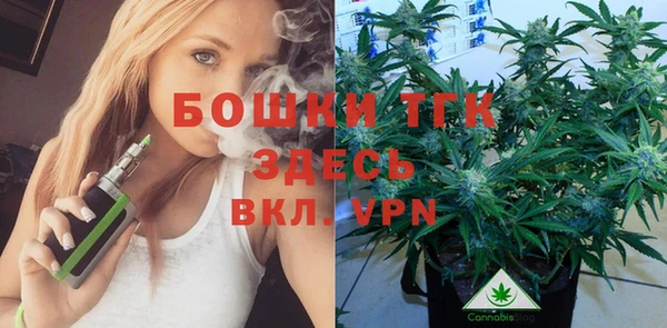 мяу мяу мука Бородино