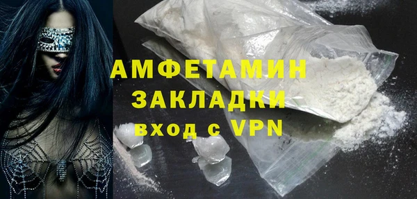 прущие грибы Бронницы