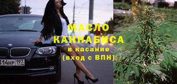мяу мяу мука Бородино