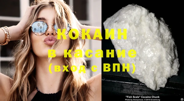 прущие грибы Бронницы