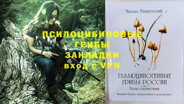 хмурый Бугульма