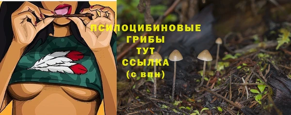 прущие грибы Бронницы