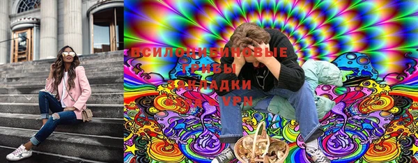прущие грибы Бронницы