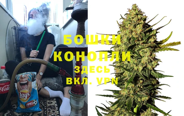 прущие грибы Бронницы