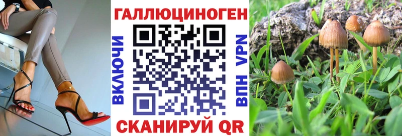 купить наркотик  Венёв  hydra зеркало  Галлюциногенные грибы мухоморы 